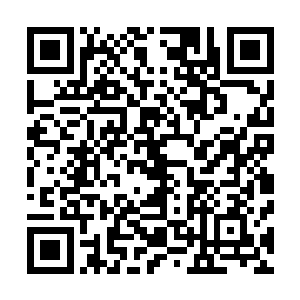 而回到自己住宅的雷林则是仔细浏览着文件上面的一些内容二维码生成