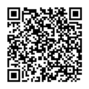 而圣保罗的球迷们也很老实的在警察给他们划分好的区域里庆祝胜利二维码生成