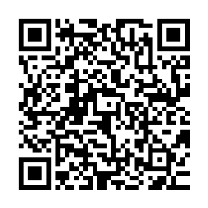 而在一边的苏凡看着小龙的车子也不得不给小龙一个大大的分数二维码生成