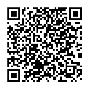 而在同时一时刻苏墨尘拉着未打开的行李箱登上了飞往马来西亚的飞机二维码生成