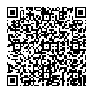 而在吞沒的一刹那　它便再次变大几分　原本以为这会是一场多么艰难的吞魂　但此时很明显　是风清扬多虑了二维码生成