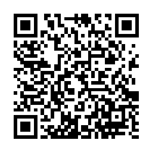 而在地上的谢逊被苏凡这么狠狠的一踩顿时一阵惨痛的疼叫二维码生成