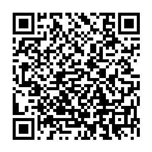 而在地上还可以看到一片一片鳞片的碎片不断的从死士的衣服里掉落出来二维码生成