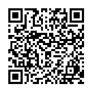 而在城堡中的众人正围在被结晶封印的月灵身边商讨怎么处理二维码生成