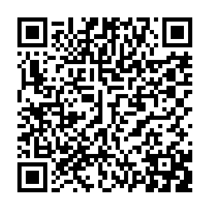 而在常委会的前一天梁国威吃饭时流露出来的意图才是让陆为民下定决心的依据二维码生成