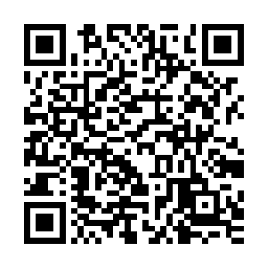 而在恐惧的过程中周围的输出已经把他的血条打掉三分之一了二维码生成