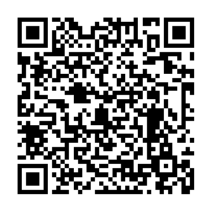 而在我刚刚脱离天罗地网的笼罩范围的同时身后的两张网已经撞到了一起二维码生成