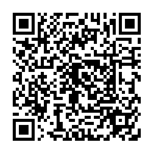 而在死士手臂上的鳞片此刻也是在苏凡的三重寸劲之下一片一片的掉落在地二维码生成
