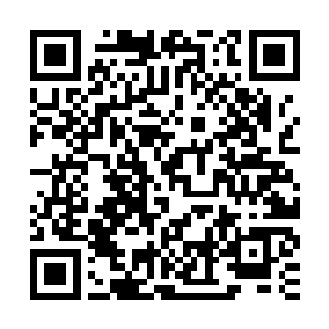 而在洞口的位置还不断的有着脑浆和血液的混合物不断的流出来二维码生成