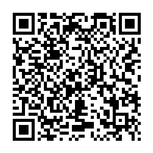 而在流墨墨下意识的想伸手拿起那些东西中最为眼熟的一枚仙树果时候二维码生成