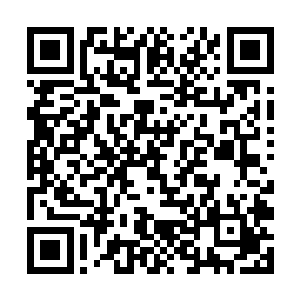 而在流墨墨他们神色不定焰心这不对劲的反应的时候二维码生成