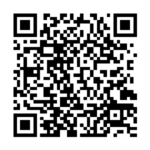 而在流墨墨和雪如楼因为血姬冷坑人而开始吞噬口粮疗伤的时候二维码生成