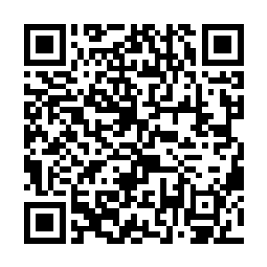 而在流墨墨看着药埔中一眼望去全是红名的各种植物二维码生成