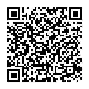 而在流墨墨还在惊凝着自己心底生出的不好的预感是怎么回事的时候二维码生成