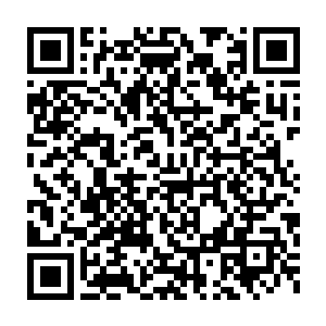 而在看似发呆的流墨墨随着笛生尔露出疑惑和轻微催促的唤了两声二维码生成