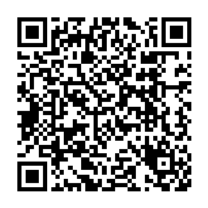 而在血妖姬们因为卯荼如同换了一个龙的巨大变化而心里没底的时候二维码生成