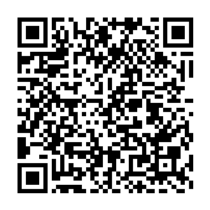 而在贝海的眼前正式的上演了一场大自然的无比奇妙的光影魔法表演二维码生成