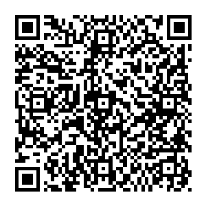 而在这个时候大家听到叶秋的话也意识到了那两个孩子在看到他们吐血的时候根本就没有表现出来害怕的地方二维码生成