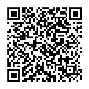 而在这份宣传规划中又结合着以洼崮为中心的昌南地区药材种植基地这一提法二维码生成