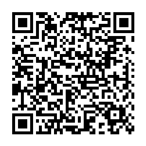 而在鼎中满溢的汤汁中翻滚着的却是一片片流金似玉的薄薄片状之物二维码生成