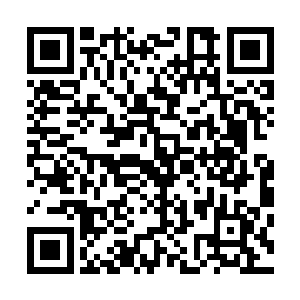 而在龙族卯荼口中得知了格塔娜和那枚胎种的渊源和羁绊后二维码生成
