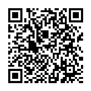 而夜明每次判定一个玩家即将死亡以及死亡之后都会嘲讽几句二维码生成