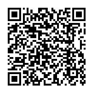 而她懂事的弟弟卢子言也终于在医院里抢救未及时后拖了月余去世二维码生成