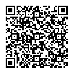 而如果再加上芯片的强大储存与分析能力的话……雷林已经无法想象之后的美好生活了……二维码生成