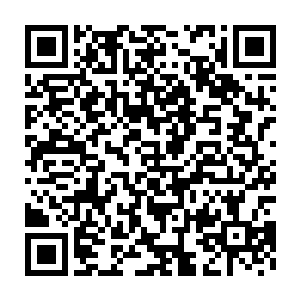 而如果遇到一个精神力和自己以前在学校里时差不多的普通人的话二维码生成