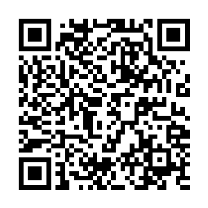 而实现富民强国不过是他实现自己理想的一个必经途径罢了二维码生成