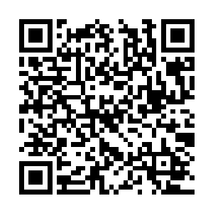 而实际上轮回殿殿主似乎也是担任守候阴间的责任二维码生成