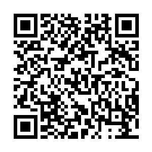 而宿主则能够获得一件到三件被分解器械中的完美零件二维码生成