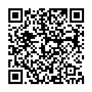 而对方所付出的代价却仅仅只是一些轻微的割伤和刺伤而已二维码生成
