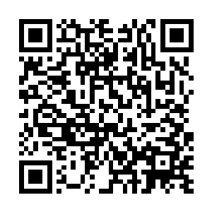 而小一帆也是很喜欢这位耳朵上发出叮叮当当脆响的姨姨二维码生成