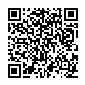 而小家伙也毫不吝啬的在张怡的脸上啪啪啪的印上自己的口水印二维码生成