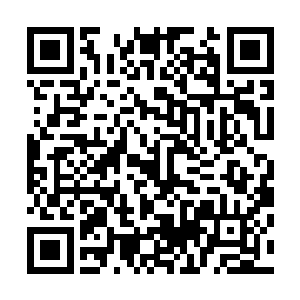 而小脸几乎僵硬掉的流墨墨感觉到脚下的震动距离越来越近二维码生成