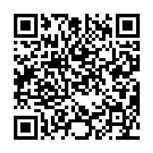 而小金也一如既往的会时常和杨晨三人一同去灵谷探寻二维码生成