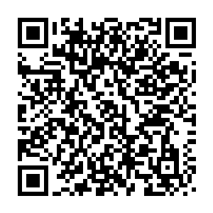 而就像是一个由波动组成的有着一个个万吨巨轮那么大窟窿的巨网二维码生成