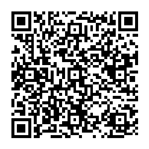 而就是这样的肉身便可以抵挡的住被吴虎臣重新掌握之后的翻天印的镇压而不会立刻身死二维码生成