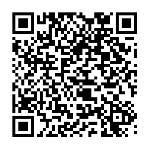 而市区两级人大政协依照法定程序在处理涉及人员的代表和委员资格问题二维码生成