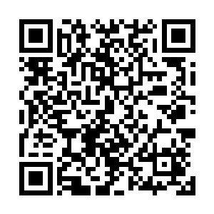 而张三丰正因当时武功全无根基如此所学的部分反而最精纯二维码生成