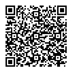 而张潇晗的天眼所看到的天罗地网在夜修文手中合拢的一瞬却是停止了全部的变化二维码生成