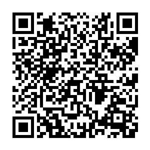 而当他们想要反抗的时候――你用了你所有的能力让这个选择变得非常可怕二维码生成
