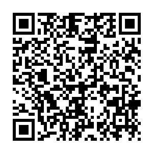 而当初在黑暗联盟的会议厅中苏凡曾经为了坐上巨头之位不就是这样么二维码生成