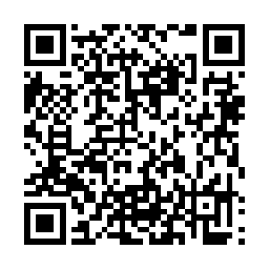 而当时林铭在巫神塔得到南疆神国之主留下的逆鳞之血二维码生成