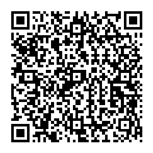 而御龙真言加上他双眸之中的焚天佛火想要灭杀眼前这个满是邪气的家伙实在是太轻松不过了二维码生成