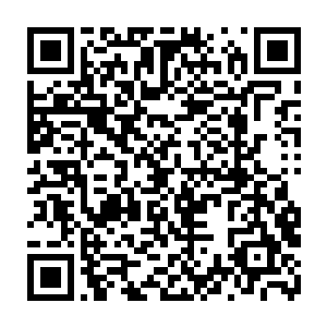 而快走了两步追上流墨墨的琴瑟色和眼眸亮晶晶的朱颜一左一右夹着流墨墨二维码生成