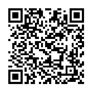 而悟空却没有……为什么他们的脸在特定的时候会发生变化二维码生成