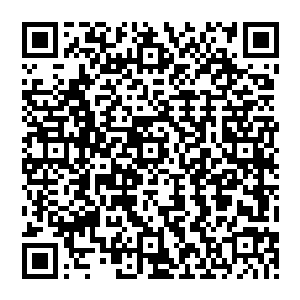而我们也没有足够的资源去给每一名士兵印一本儿记录着各种代码或注意事项的手册……因此二维码生成