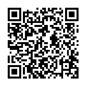 而我当下最重要的事情就是让我们的族人安全的撤离这片树林二维码生成